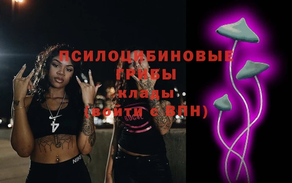 МДПВ Алзамай