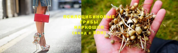 каннабис Алексин