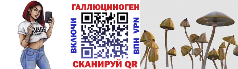 Галлюциногенные грибы Psilocybine cubensis  Лабытнанги 